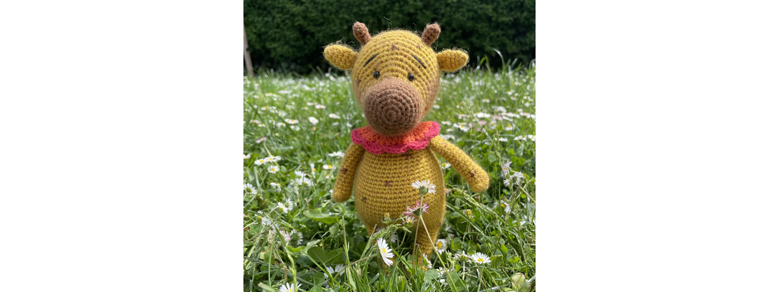 De 3 frste opskrifter er nu testet og klar!